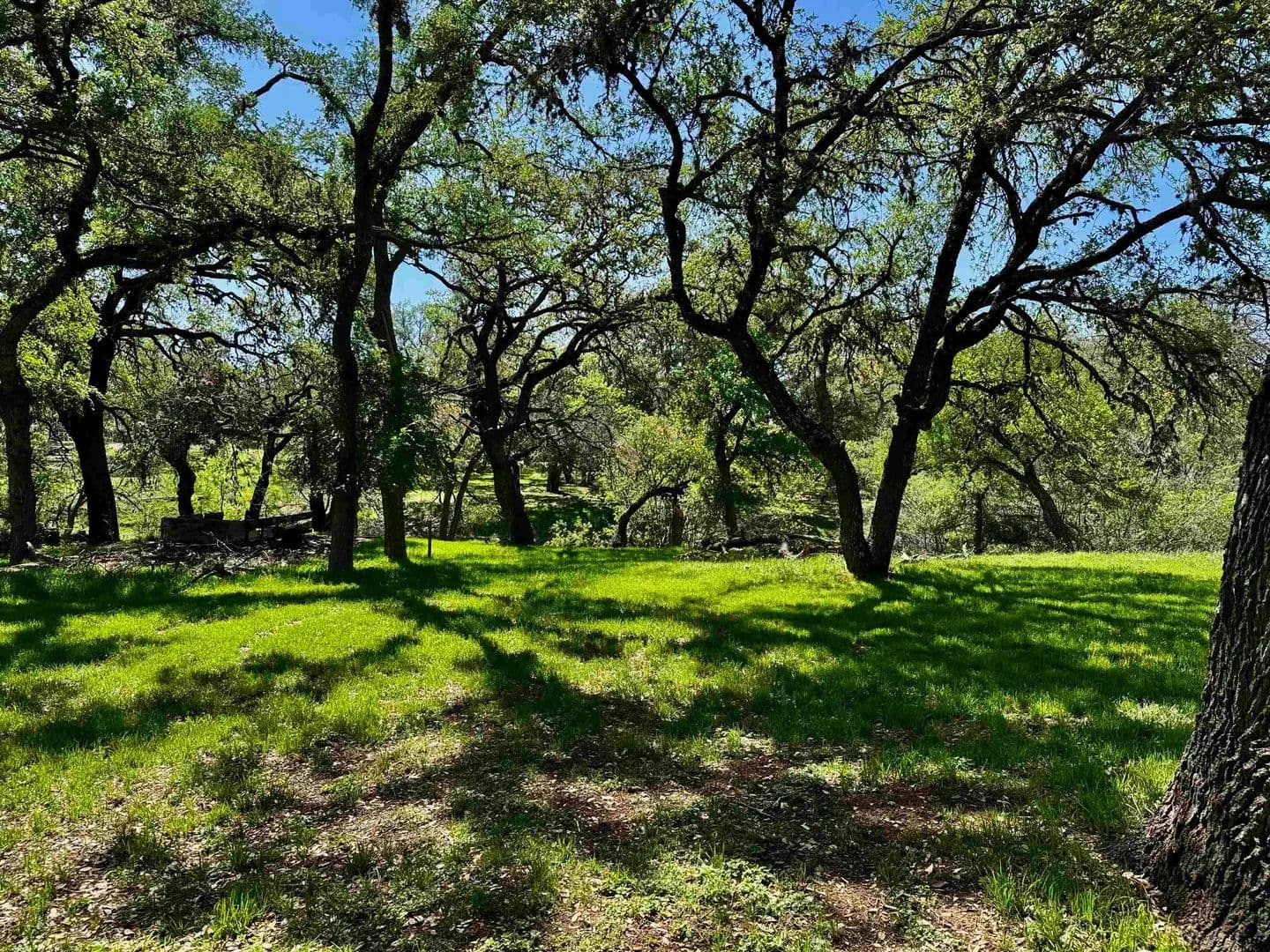 0.37 Acres of Land for Sale in Tow, Texas - Tow, Texas, 78672