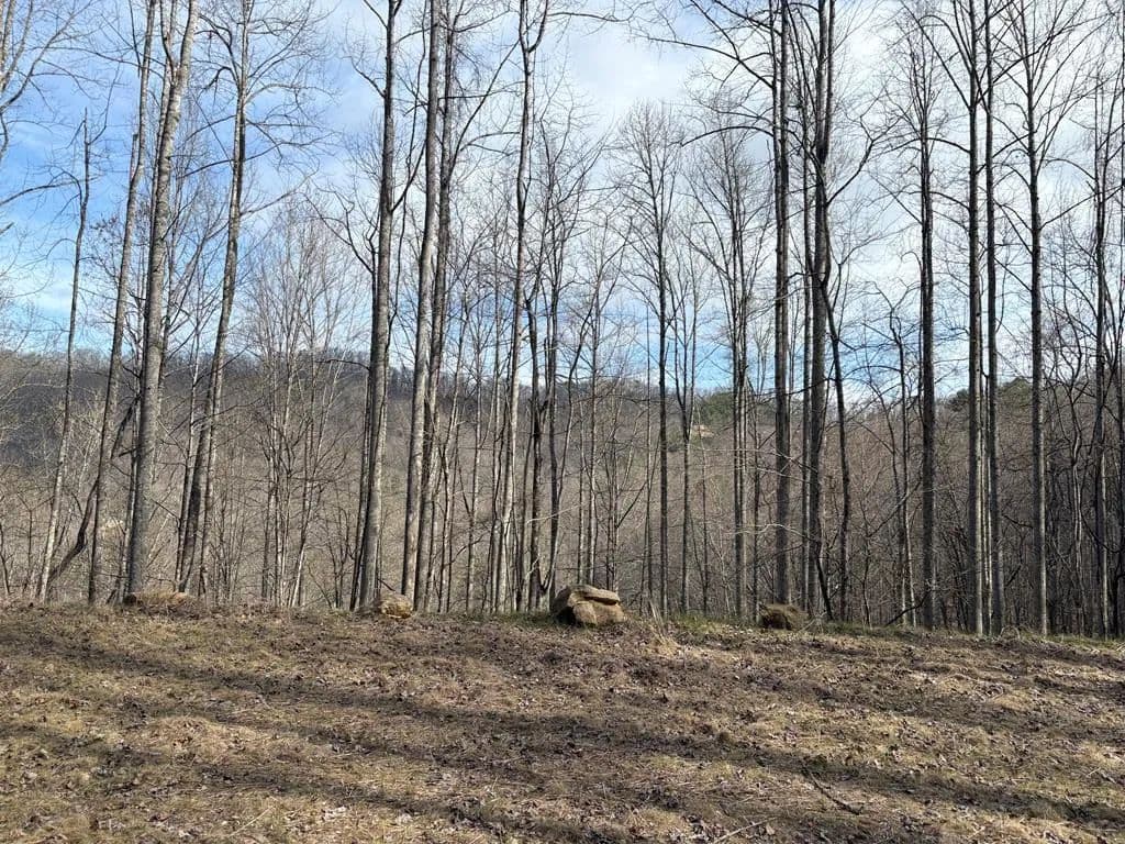 Property from 269 Flowering Ridge - KW - Whittier, North Carolina, 28789