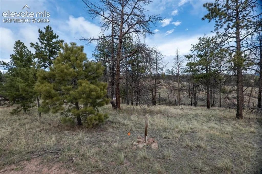 2.81 Acres of Land for Sale in Florissant, Colorado - Florissant, Colorado, 80816