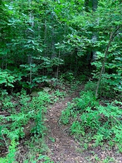 Property from tbd Whitewater Cove - KW - Montreat, North Carolina, 28757