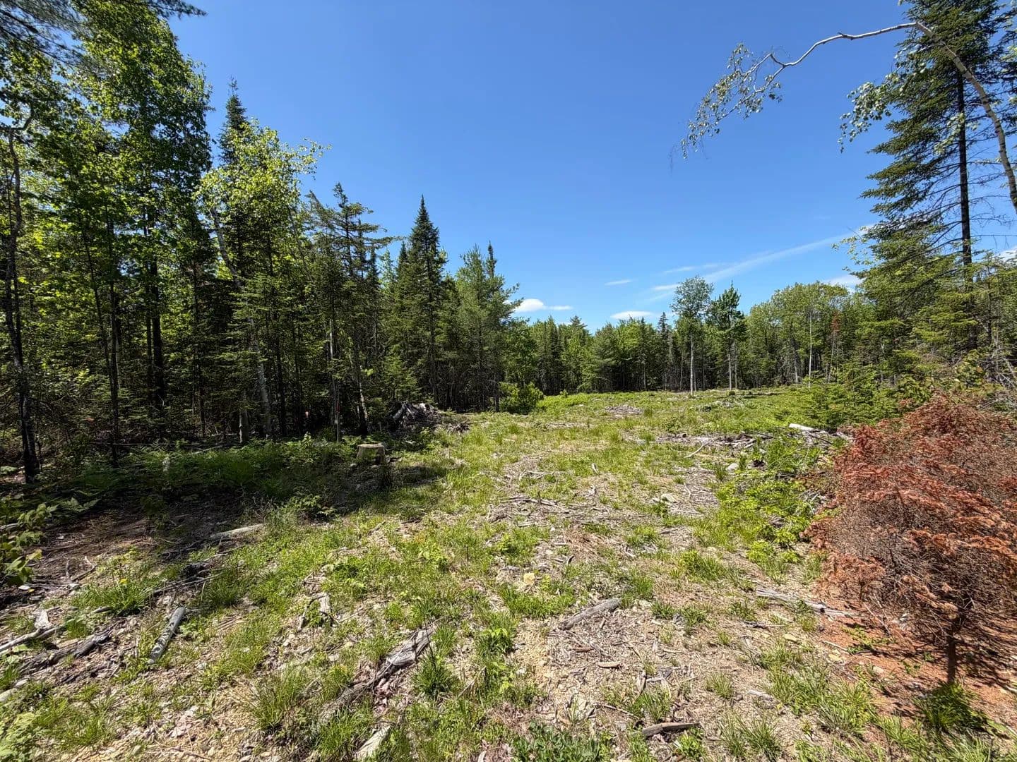4.2 Acres of Land for Sale in Orono, Maine - Orono, Maine, 04473