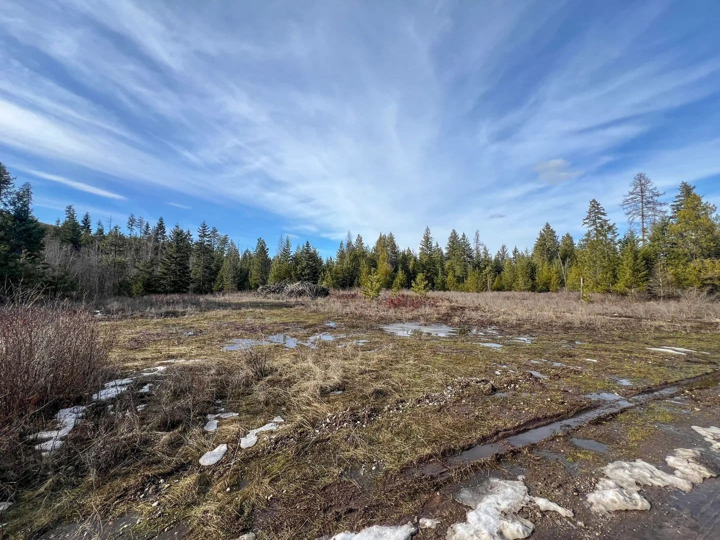 Vacant Land (10+ Acres) in Valley - Valley, Washington, 99181