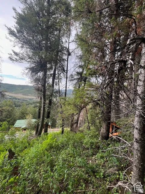 Vacant Land in Park City - Park City, Utah, 84098