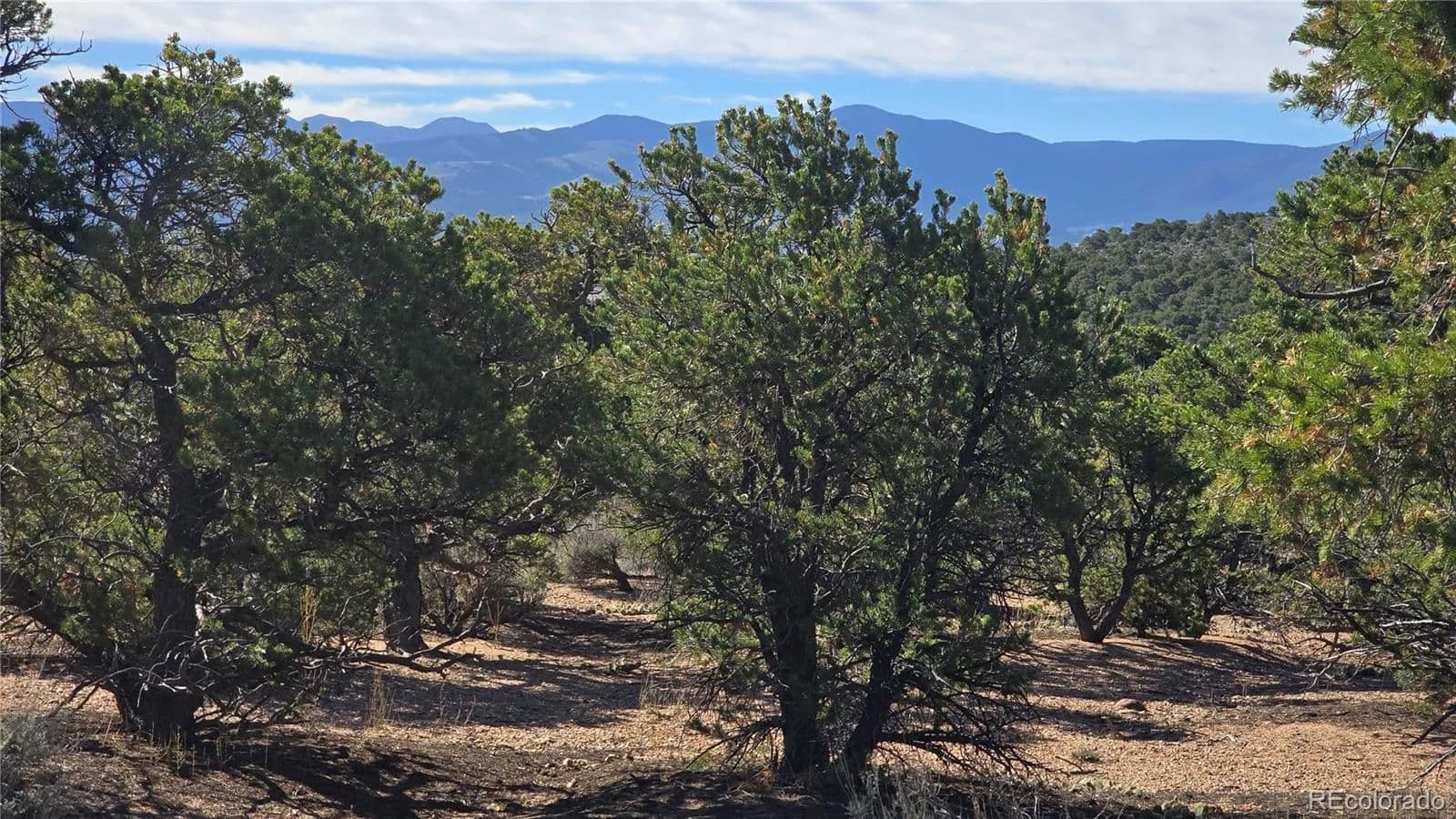 Property from Lot 3873 Shinn Road - KW - Fort Garland, Colorado, 81133