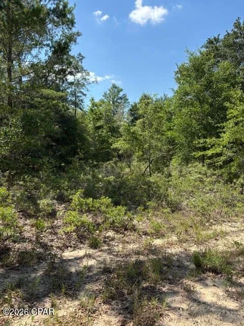 Property from 00 Pasofino Lane #M-2 - KW - Alford, Florida, 32420