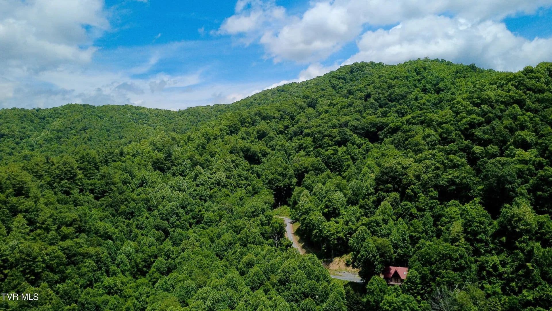 13.28 Acres of Land for Sale in Flag Pond, TN - Flag Pond, Tennessee, 37657
