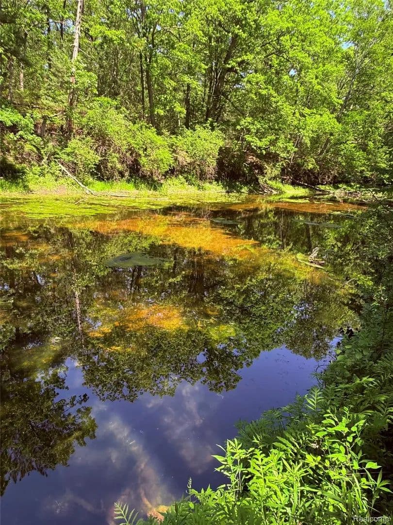 Property from 2620 Weaver Road - KW - , Michigan, 48467