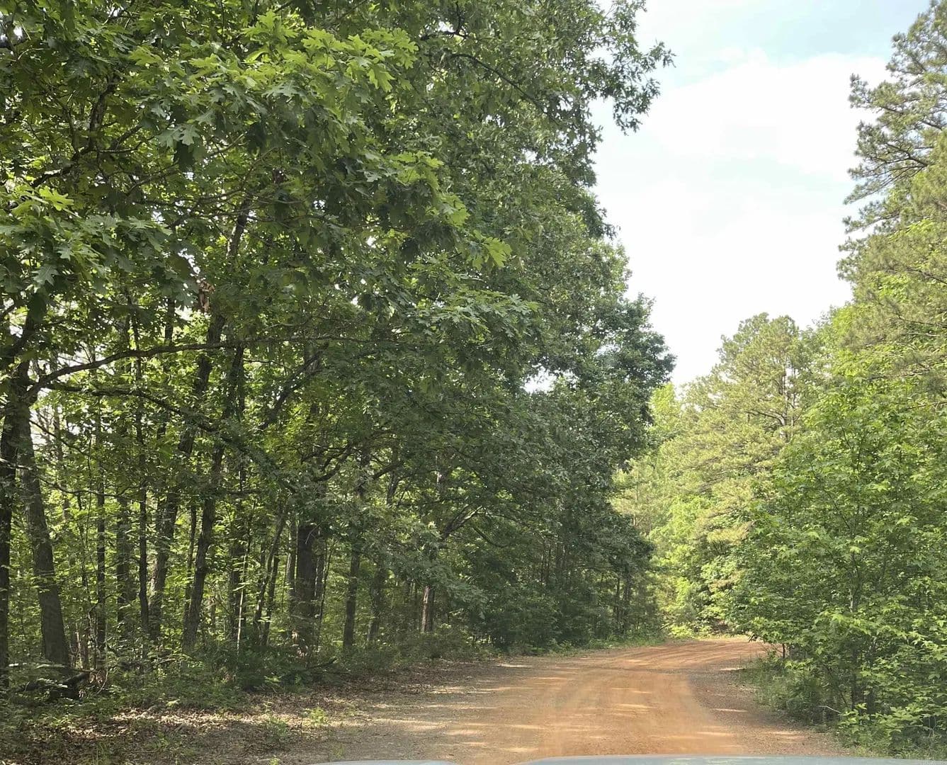 0.3 Acres of Land for Sale in Fairfield Bay, Arkansas - Fairfield Bay, Arkansas, 72088