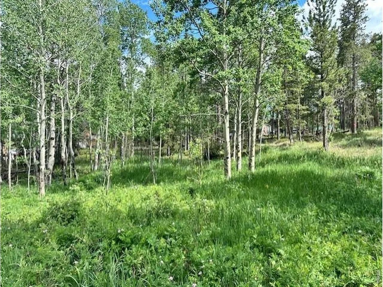 Vacant Land in Black Hawk - land for sale