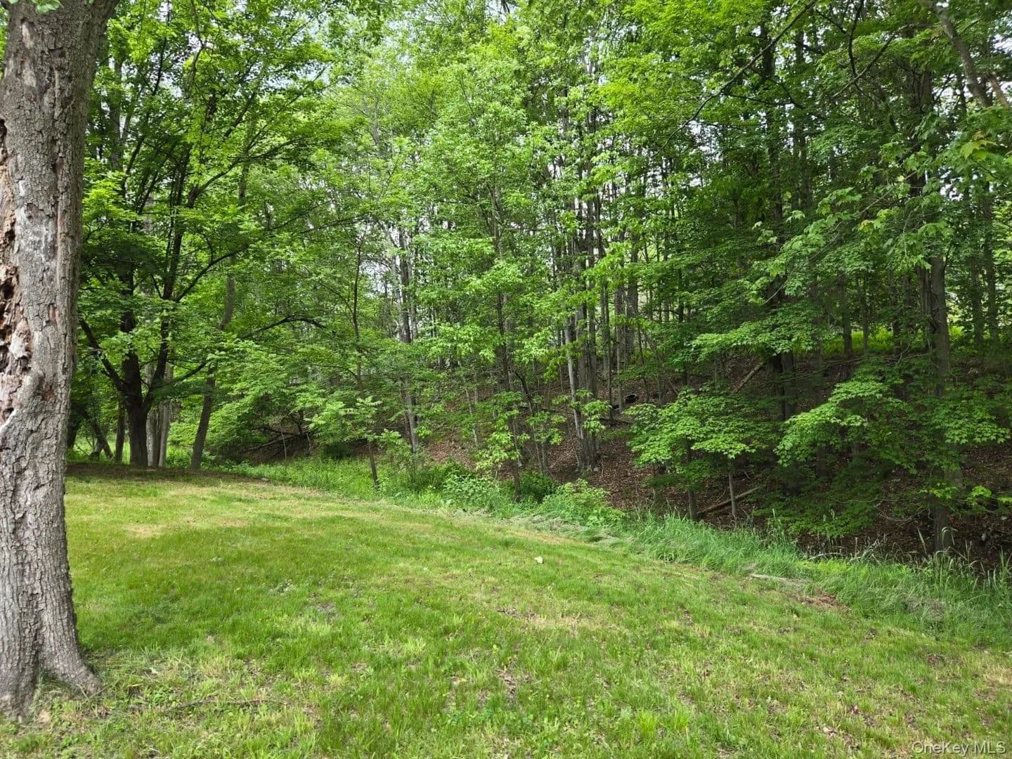 Property from Overlook Avenue - KW - Fallsburg, New York, 12763