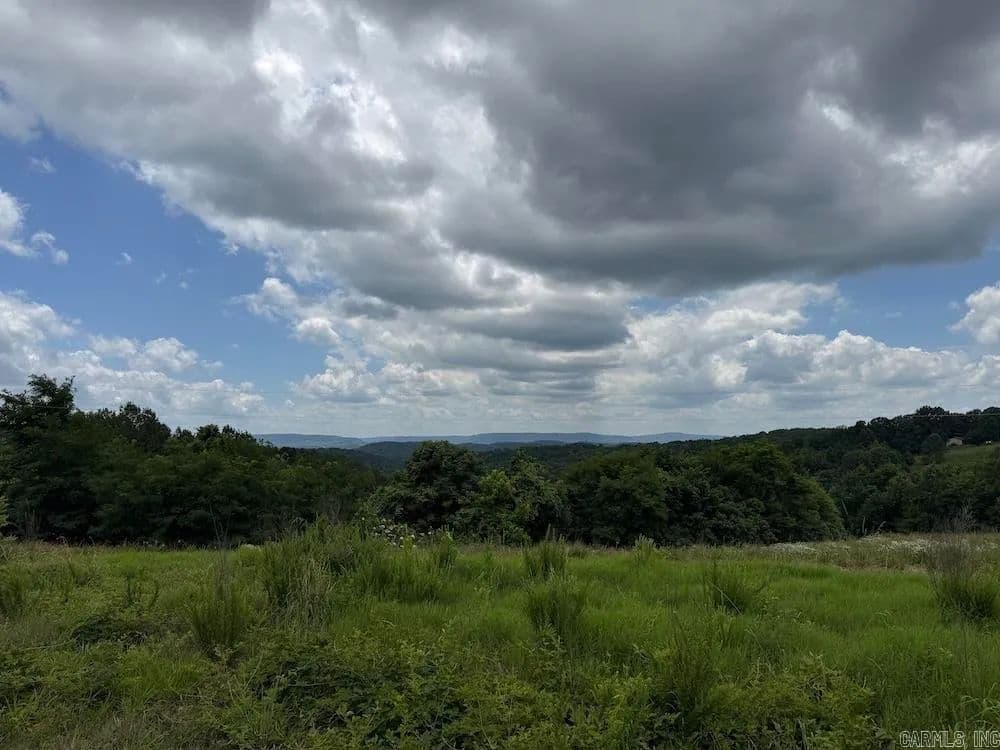 40 Acres of Land for Sale in Harriet, Arkansas - Harriet, Arkansas, 72639