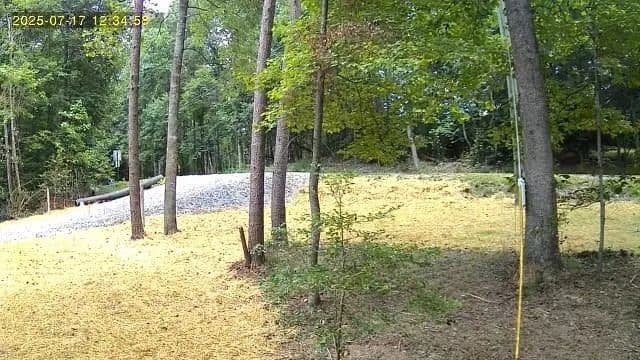 Lots & Land-Other in Ellijay - Ellijay, Georgia, 30540