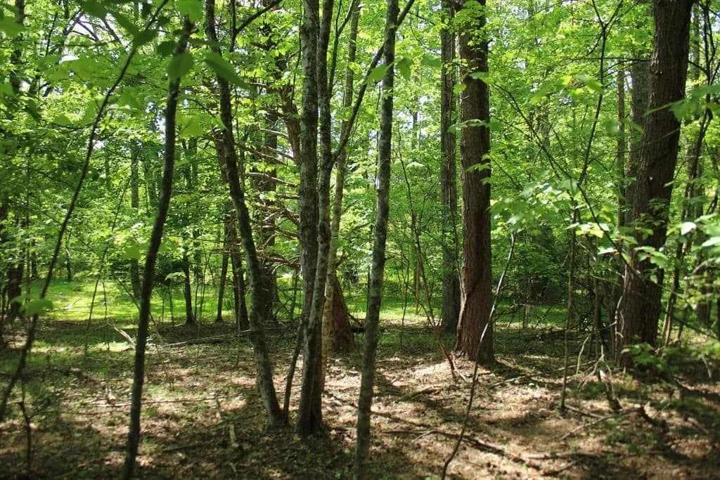 Lots & Land-Other in Hayesville - Hayesville, North Carolina, 28904