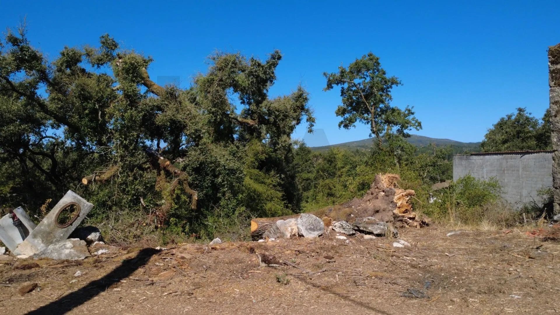 700 Acres of Land for Sale in Santiago da Guarda, Ansião - land for sale