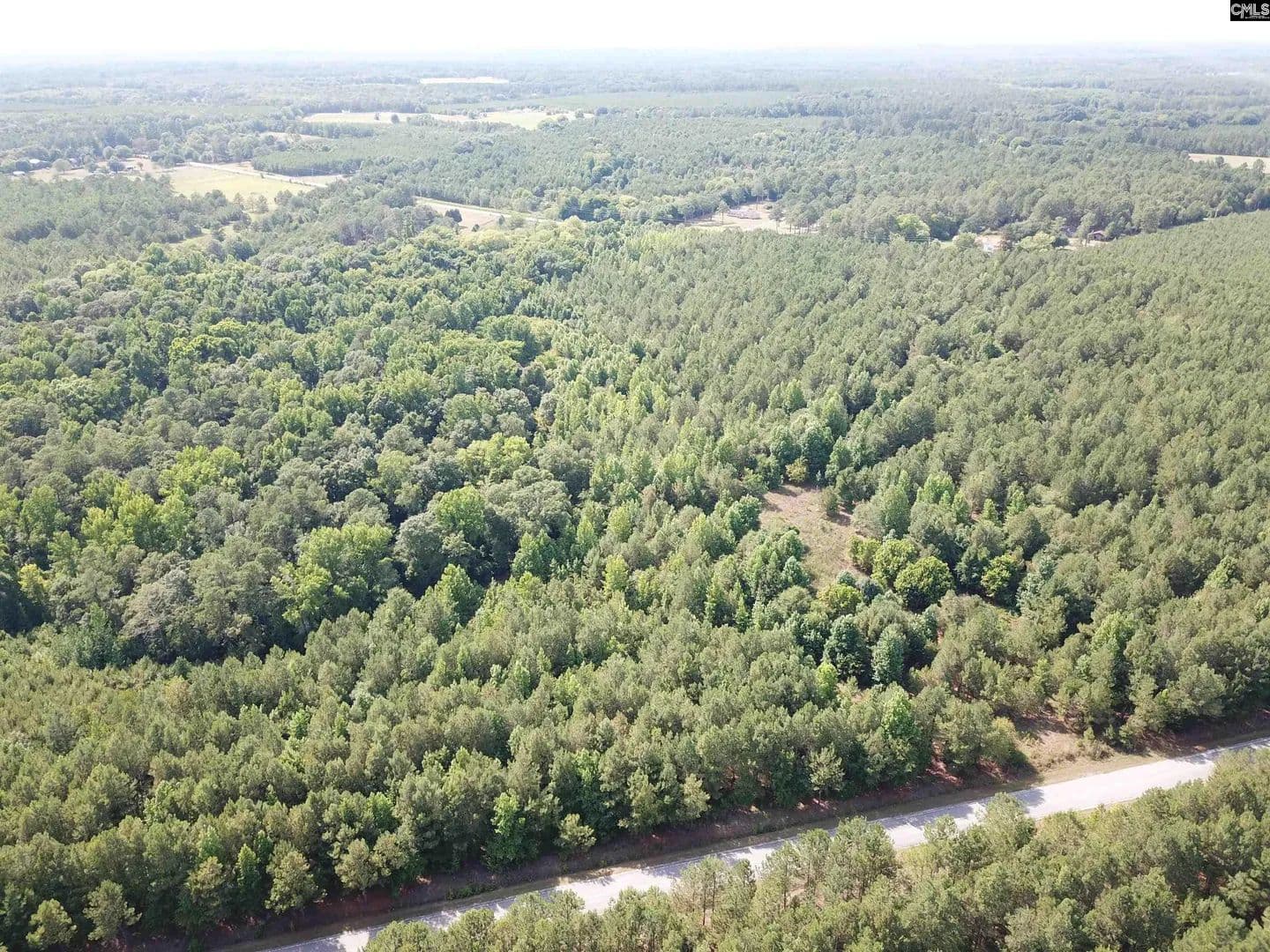 63.93 Acres of Land for Sale in Rembert, SC - Rembert, South Carolina, 29128