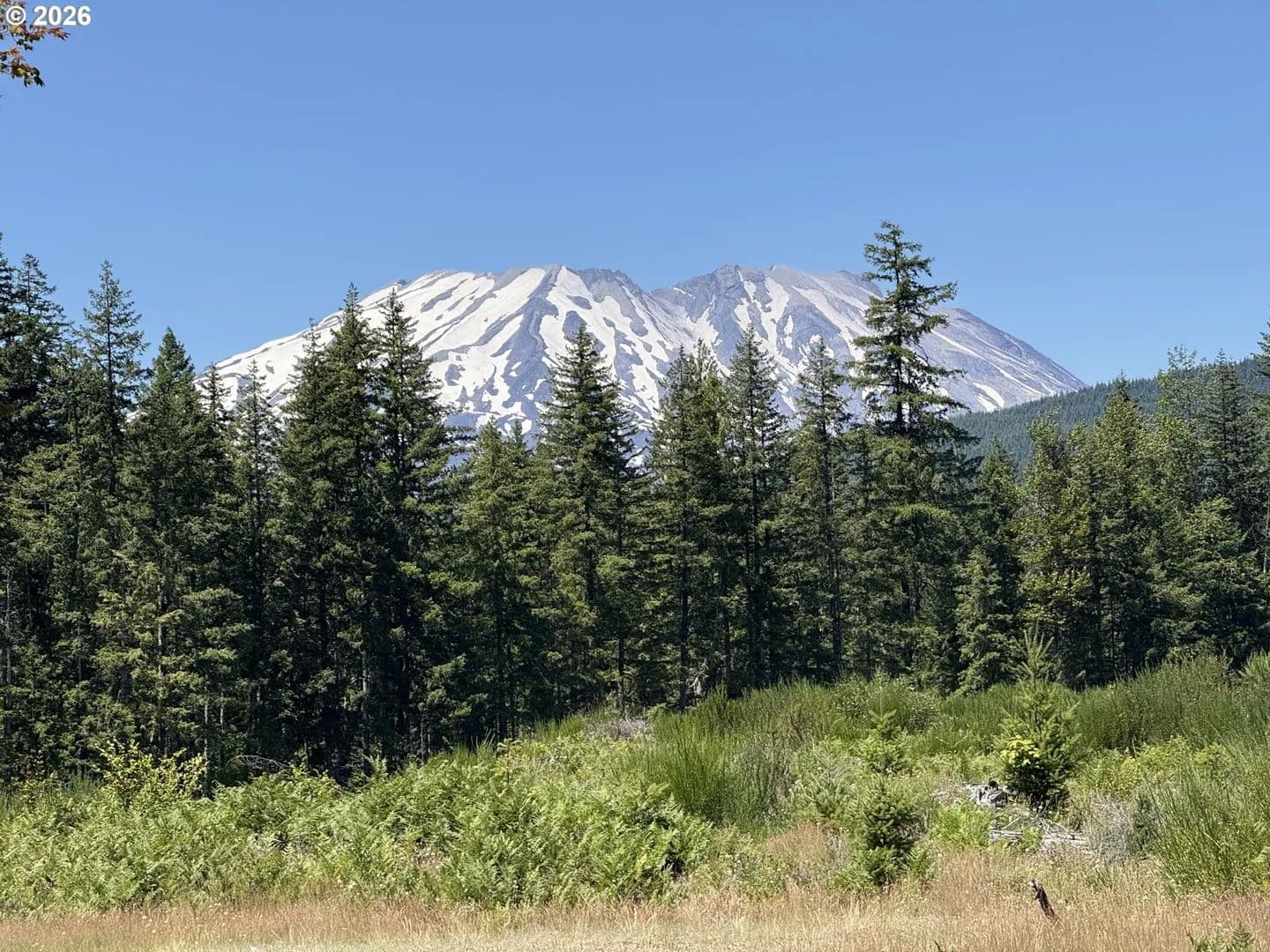 Property from 0 Lahar LN #9 - KW - Cougar, Washington, 98616