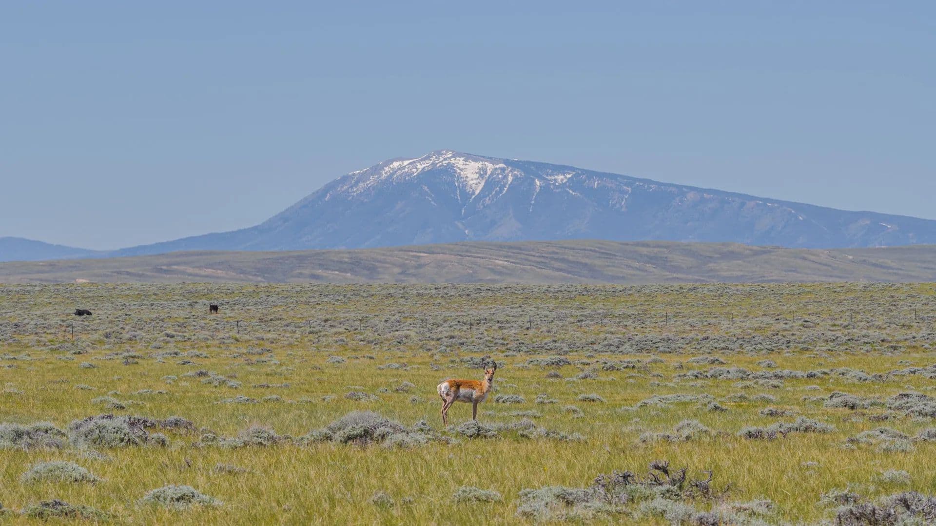 SKS Ranch - Medicine Bow, Wyoming, 82329