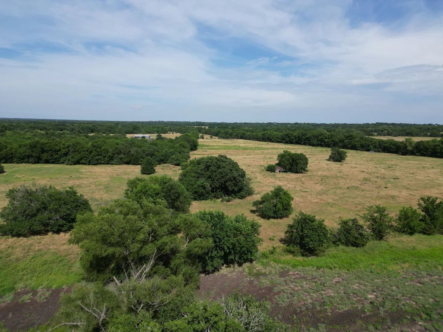 Land -Agricultural (Not Zoned) in Pecan Gap - land for sale