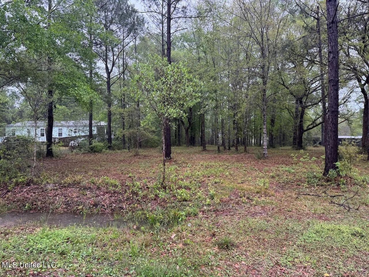 Property from 00 Camellia Street - KW - Kiln, Mississippi, 39556