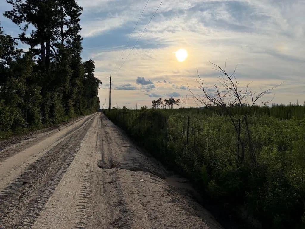 3 Acres of Land for Sale in Lakeland, GA - Lakeland, Georgia