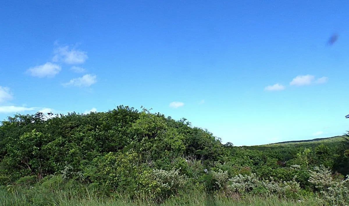 Vacant Land in Long Island - land for sale