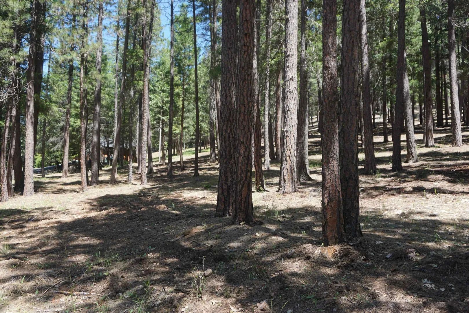 Property from 397 Main Ranch Road - KW - land for sale