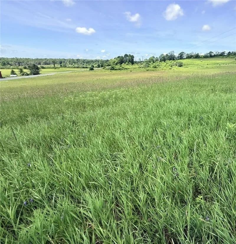 Land -Single Family Acreage in Guilford - Guilford, New York, 13780