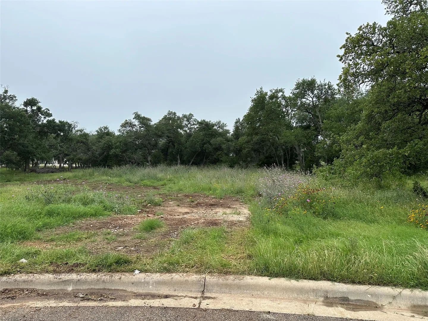 Property from 505 Milk Thistle Cove - KW - Georgetown, Texas, 78628