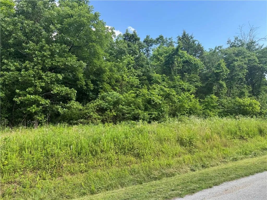 Property from Rountree Lane - KW - Bella Vista, Arkansas, 72715