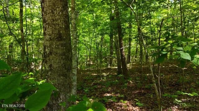 20 Acres of Land for Sale in Soddy-Daisy, Tennessee - Soddy-Daisy, Tennessee, 37379