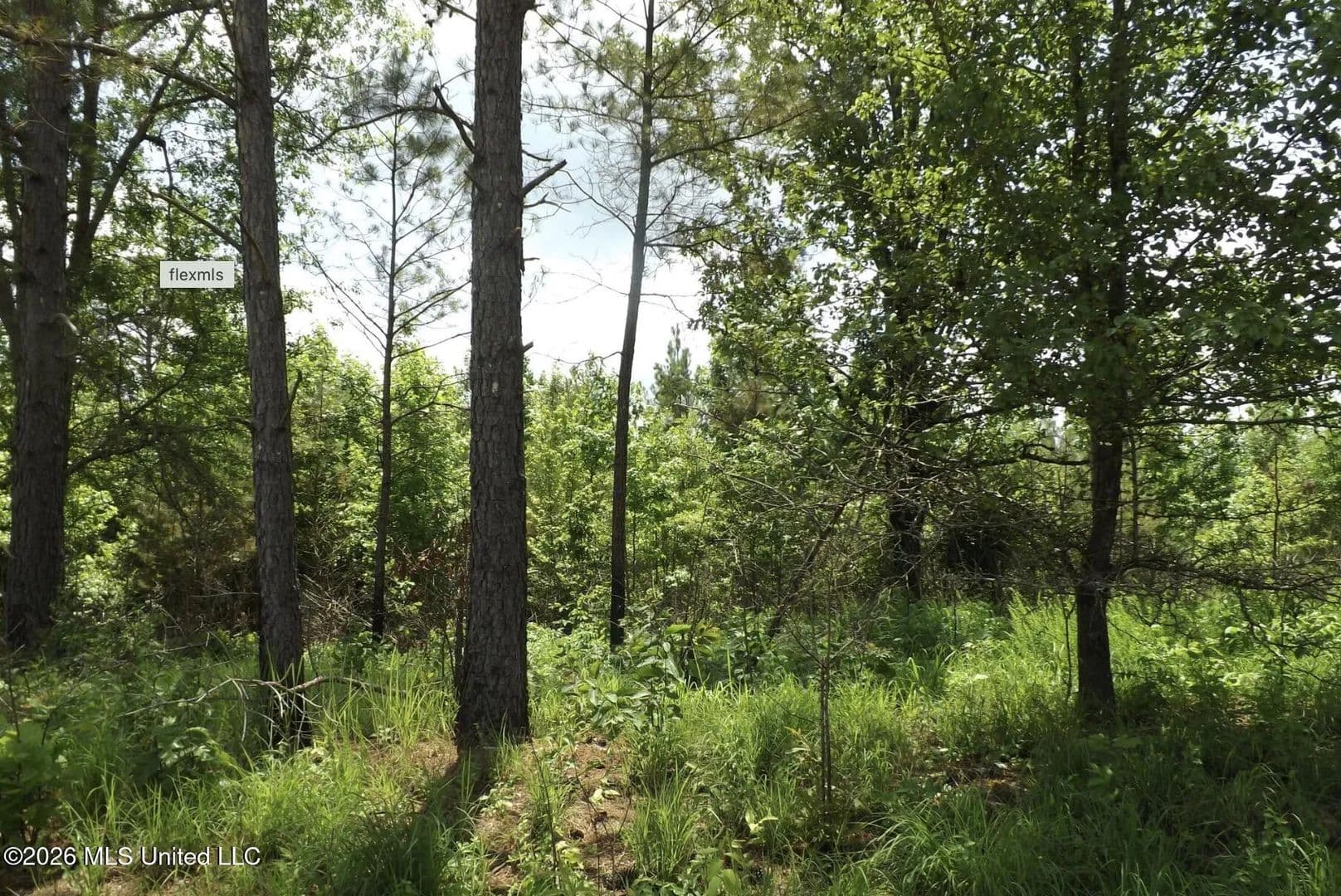 Property from Randletown Road - KW - Lexington, Mississippi, 39095