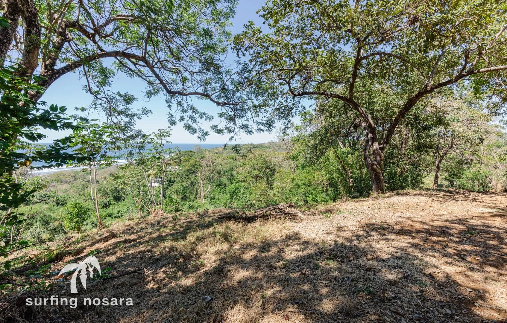 Vacant Land in Nosara - land for sale