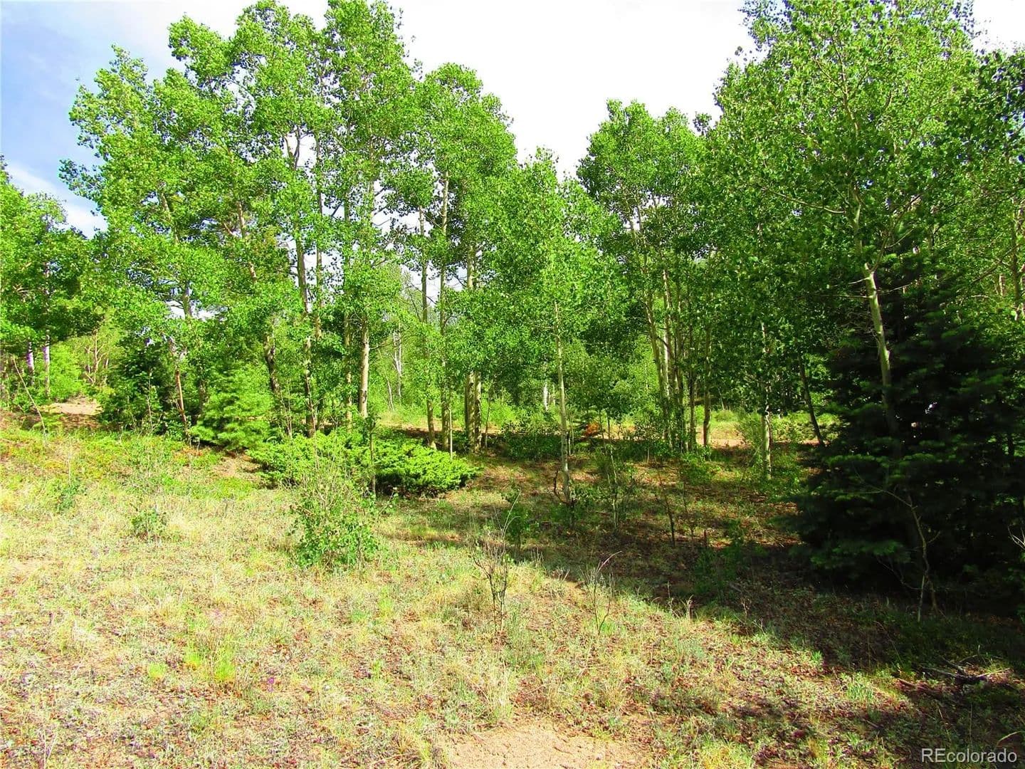 5.42 Acres of Land for Sale in San Luis, CO - San Luis, Colorado, 81152