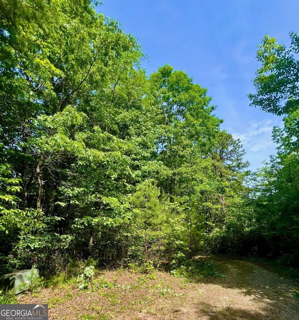 Property from 0 Bluff Mtn - KW - Dillard, Georgia, 30537