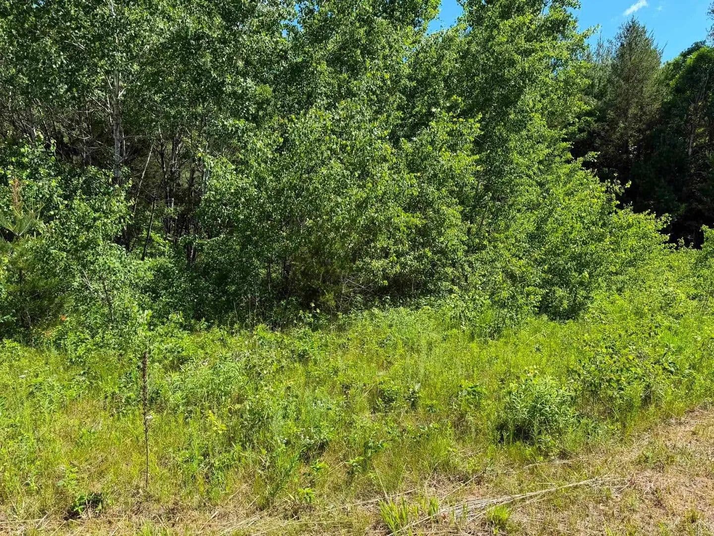 2.5 Acres of Land for Sale in Big Flats, Wisconsin - Big Flats, Wisconsin, 54613
