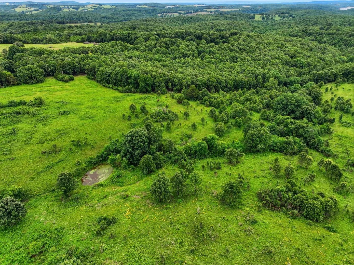 27.99 Acres of Land for Sale in Gainesville, MO - Gainesville, Missouri, 65655