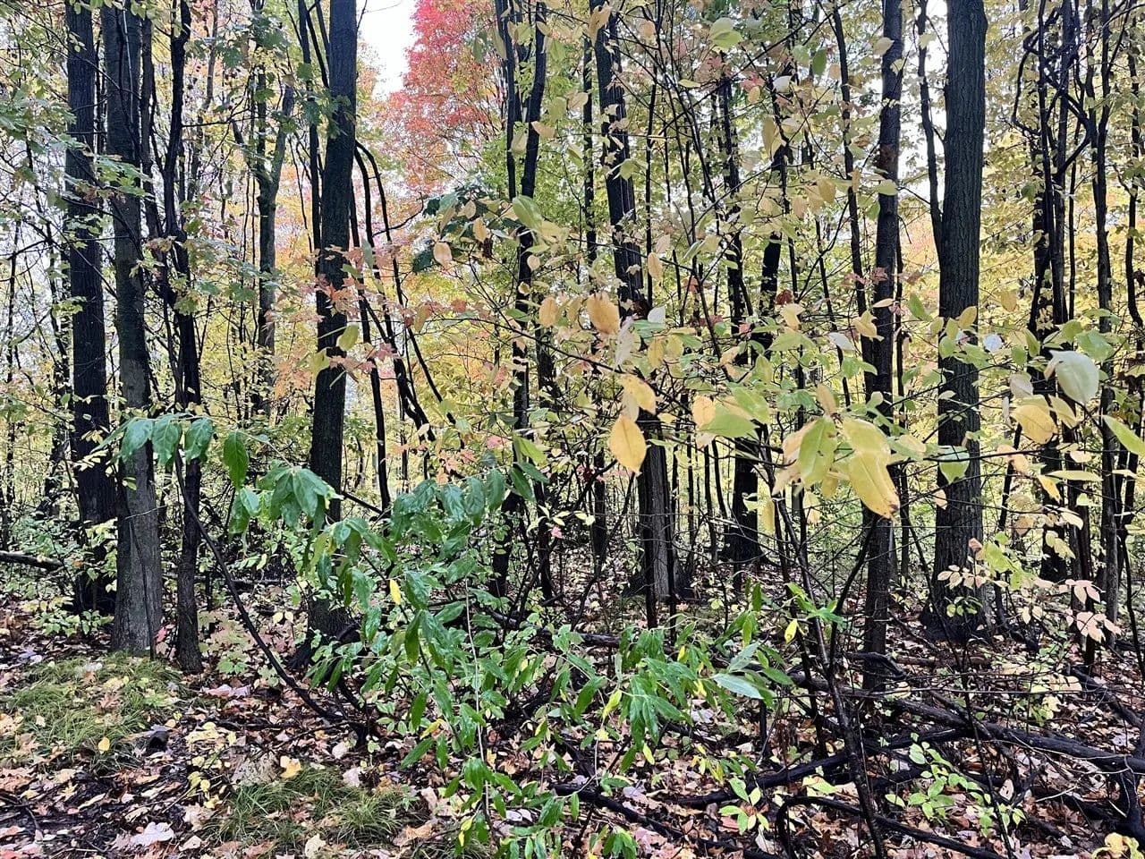 1.4 Acres of Land for Sale in Sand Lake, Michigan - Sand Lake, Michigan, 49343