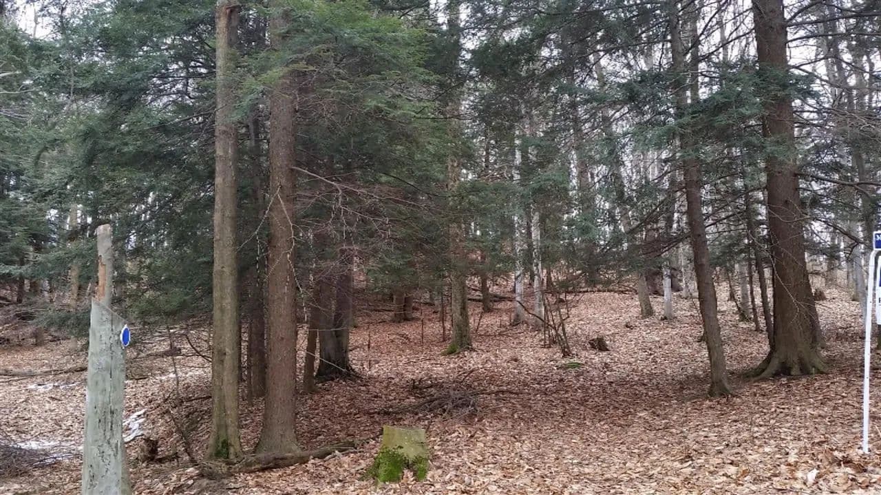 Property from S Sable Pointe - KW - Shelby, Michigan, 49455