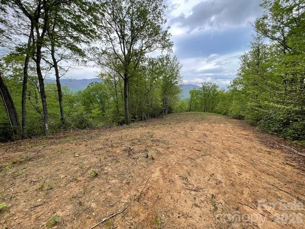 Property from Lot 7 Copperhead Cove - KW - Sylva, North Carolina, 28779