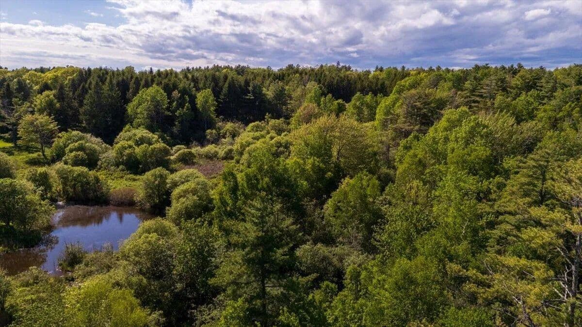 Property from Map 20 Lot 14-10 Iron Tree Street - KW - land for sale