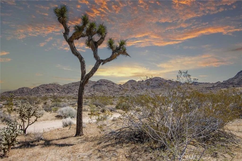 4.2 Acres of Land for Sale in Johnson Valley, CA - Johnson Valley, California, 92285