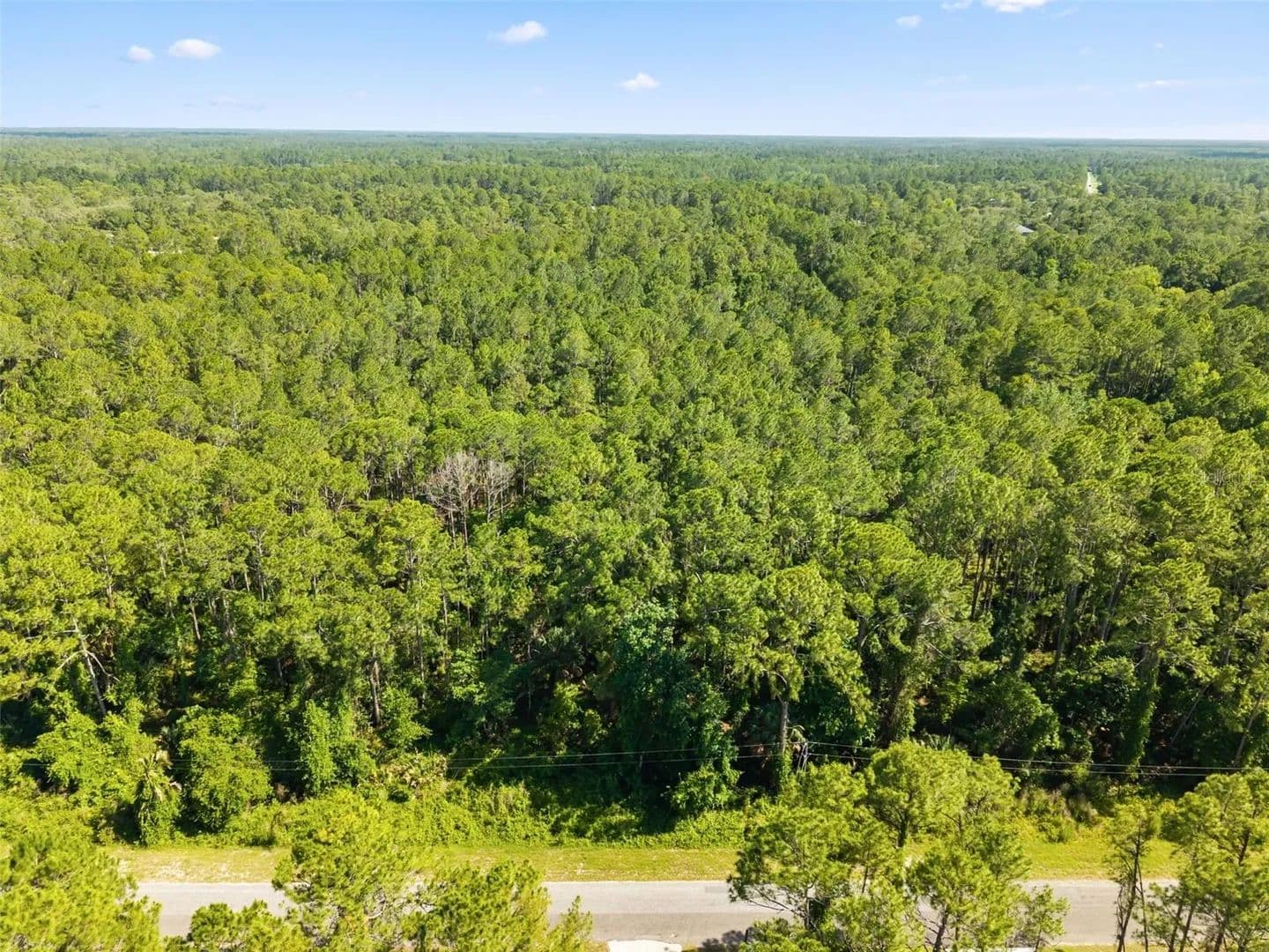 Property from APRICOT AVENUE - KW - Eustis, Florida, 32736