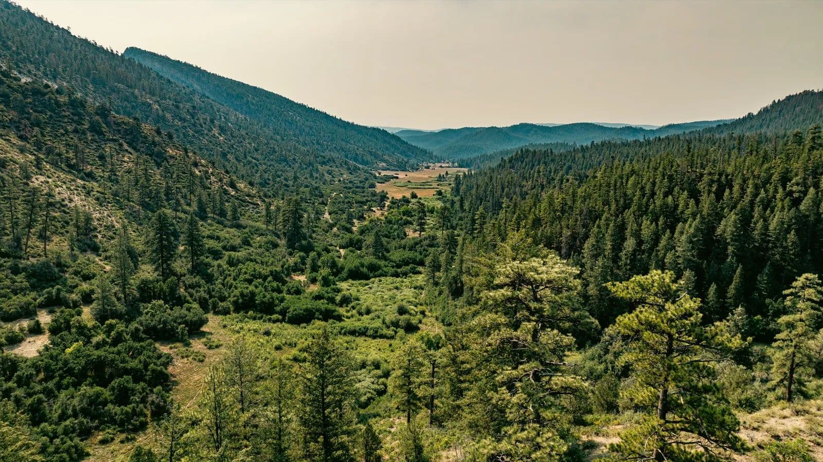 Stagecoach Valley Ranch - land for sale