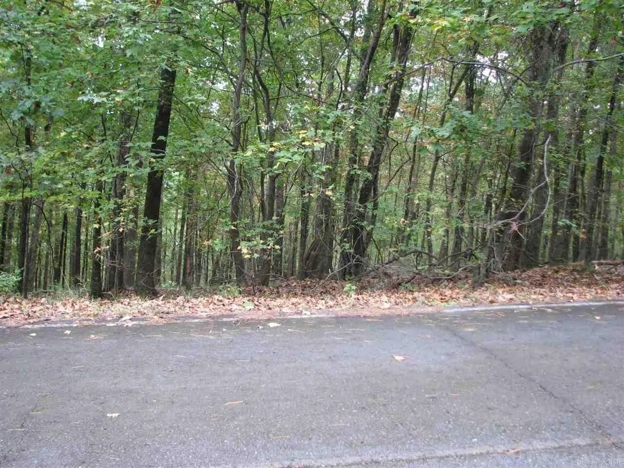 Property from 27 Lago Drive - KW - Hot Springs Village, Arkansas, 71909