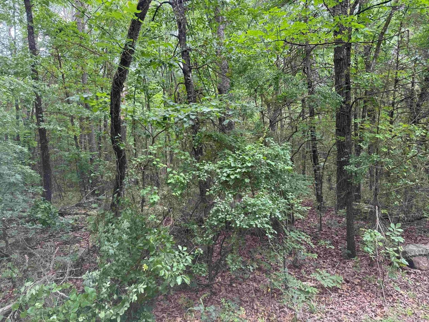 Property from 00 NO. BROADWAY Street - KW - Heber Springs, Arkansas, 72543