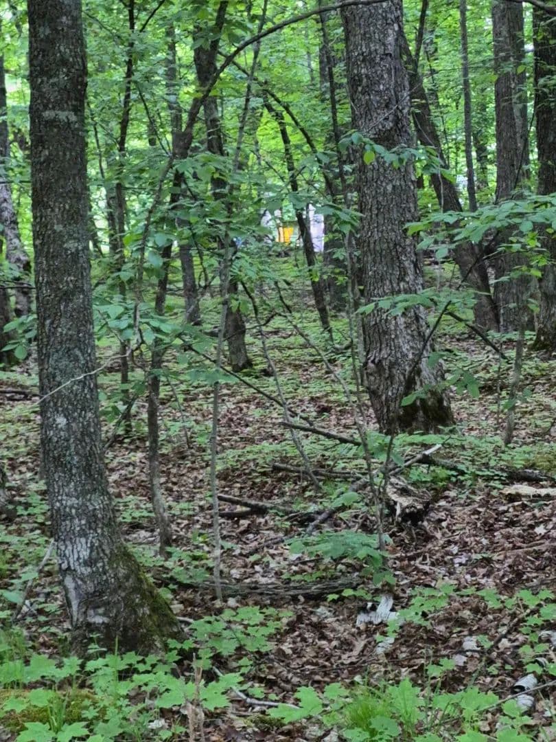 Property from TBD LOT 351 195th Place - KW - Mcgregor, Minnesota, 55760