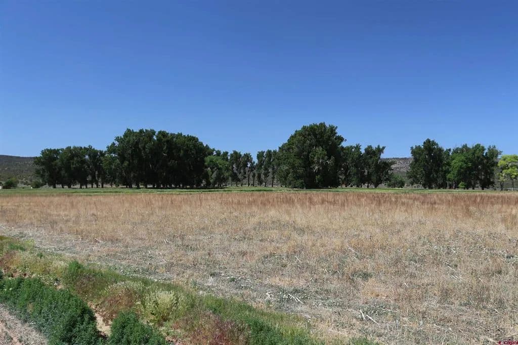 Property from TBD Shavano Valley Road - KW - Montrose, Colorado, 81403