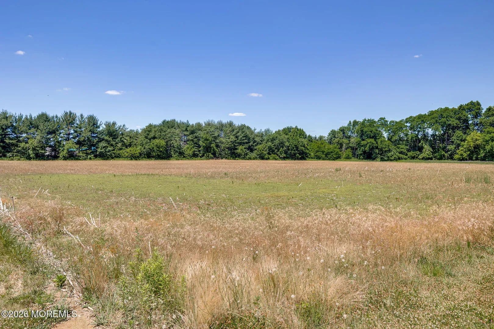 Land for Sale in Chesterfield, NJ - Chesterfield, New Jersey, 08515