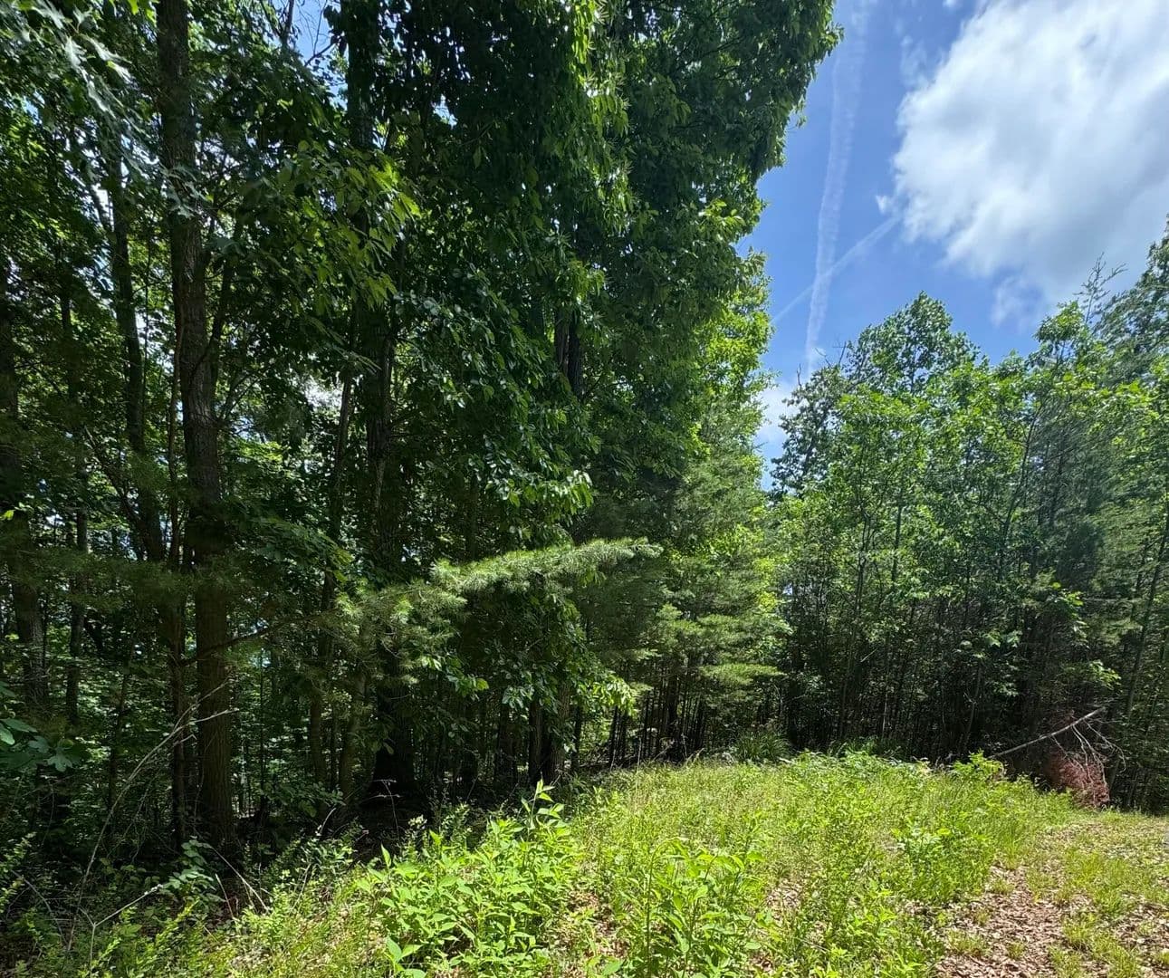 Property from Lot #67 Sunrise Cove Trail #67 - KW - Monticello, Kentucky, 42633