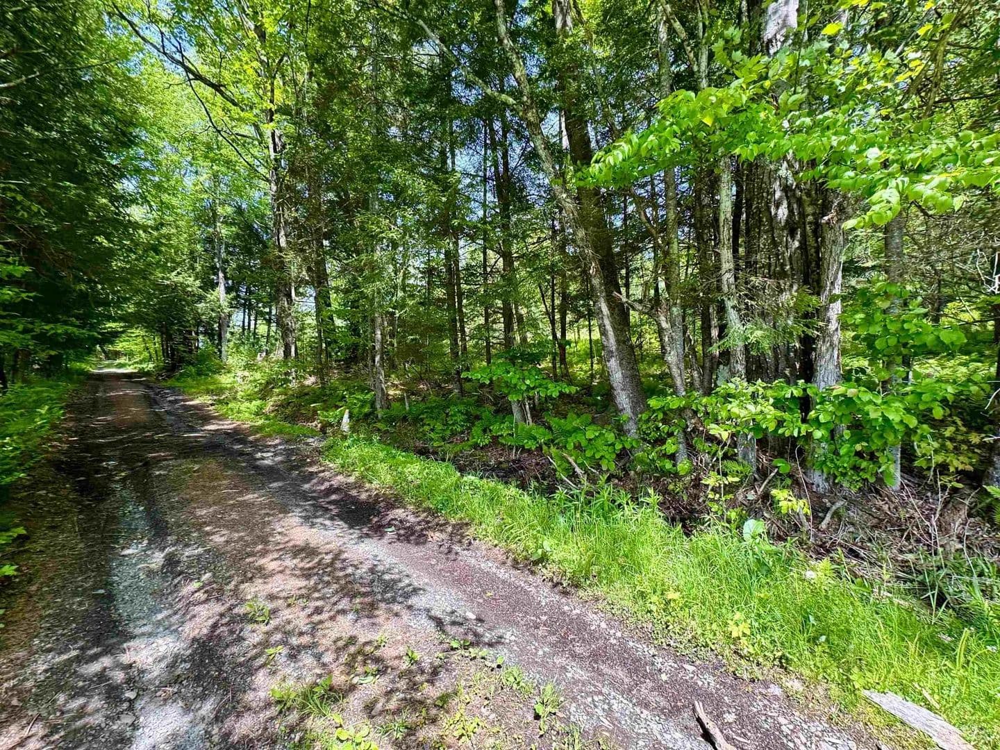 Property from 00 Mink Hill Road - KW - Bradford, Vermont, 5033